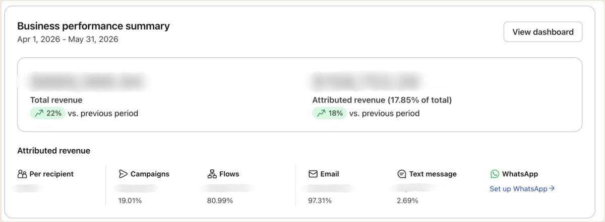 Klaviyo business performance summary for this account